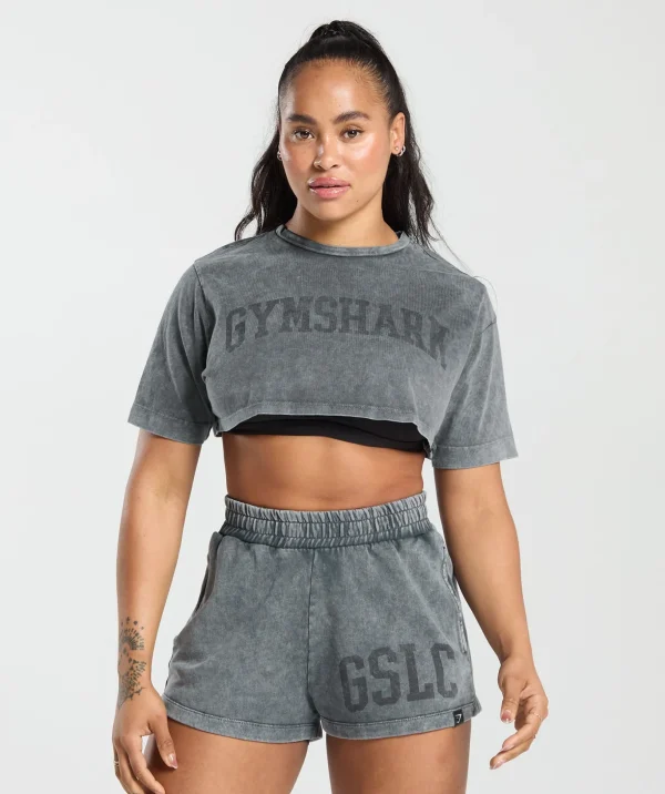 Collegiate Shadow Washed Crop Top