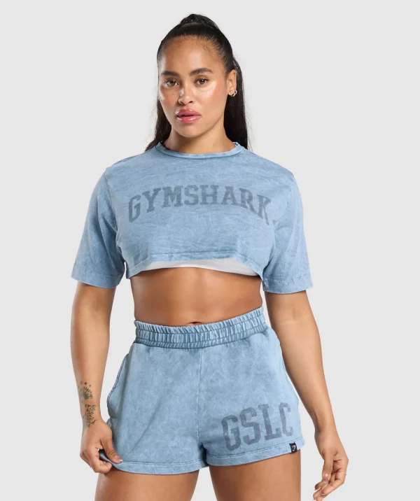 Collegiate Shadow Washed Crop Top