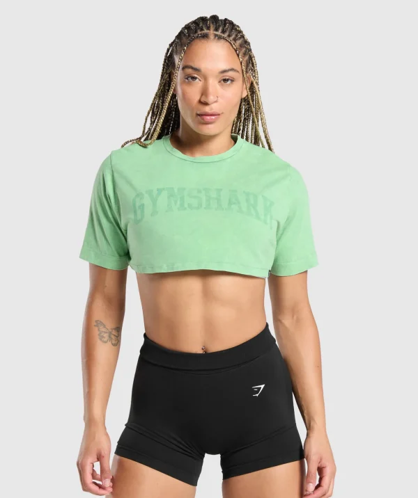 Collegiate Shadow Washed Crop Top