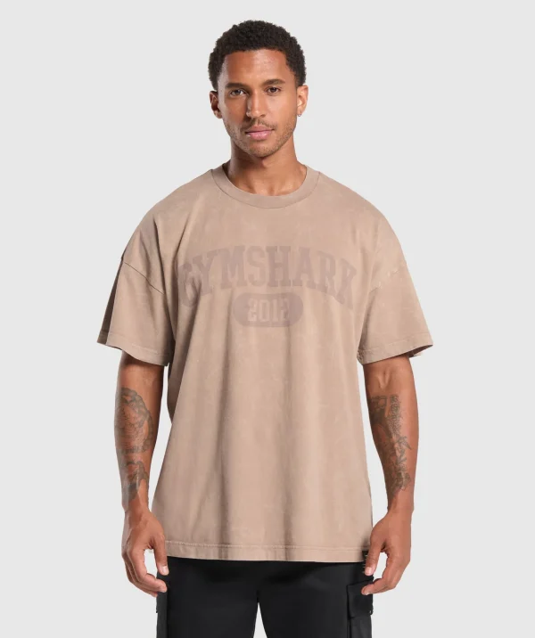 Collegiate Shadow Washed T-Shirt