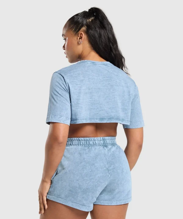 Collegiate Shadow Washed Crop Top