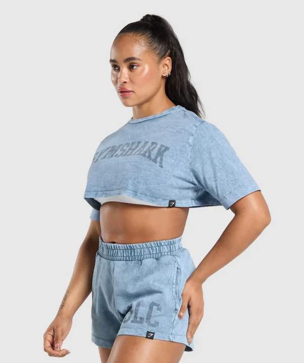 Collegiate Shadow Washed Crop Top