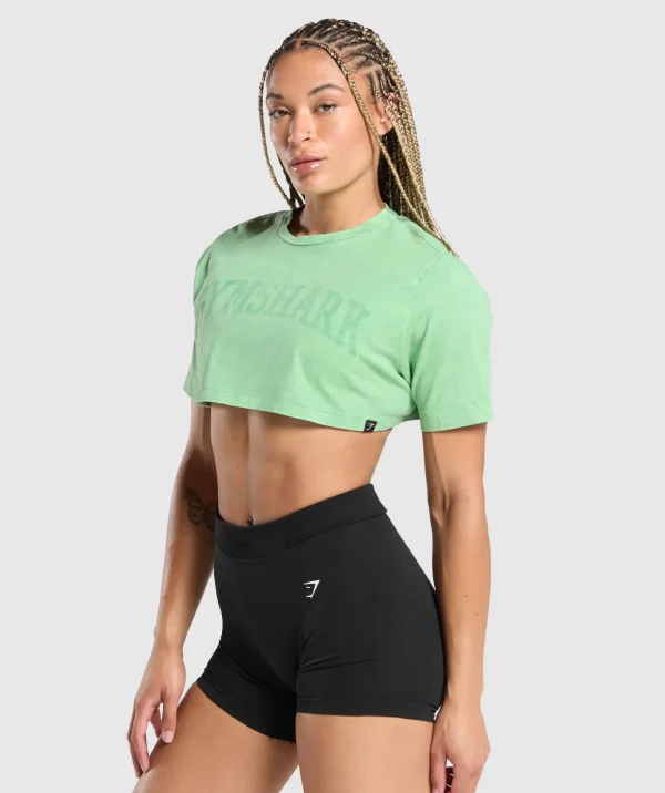 Collegiate Shadow Washed Crop Top