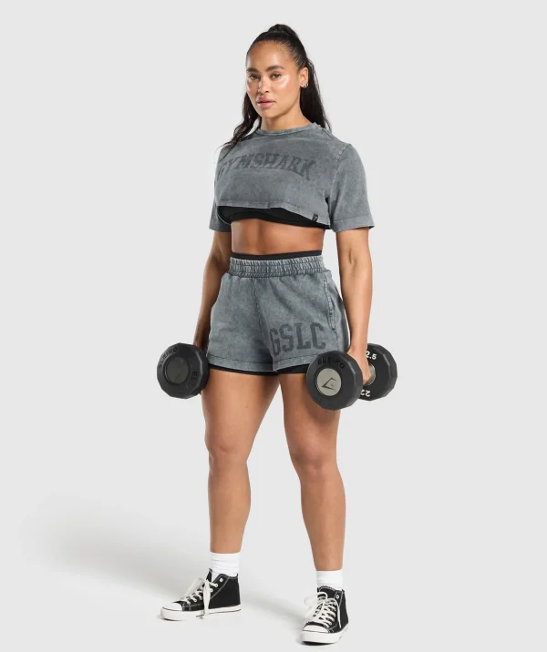 Collegiate Shadow Washed Crop Top