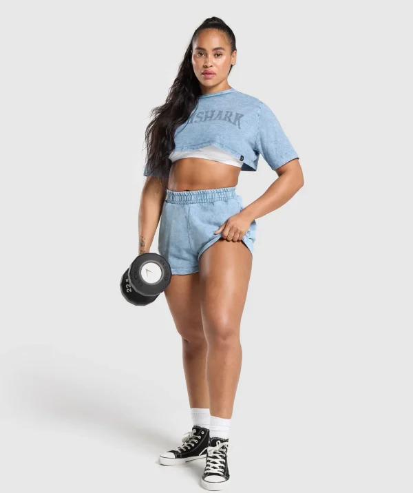 Collegiate Shadow Washed Crop Top