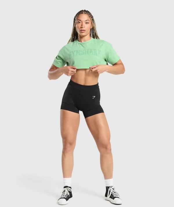 Collegiate Shadow Washed Crop Top