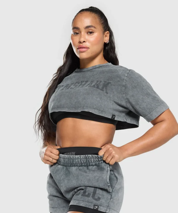 Collegiate Shadow Washed Crop Top