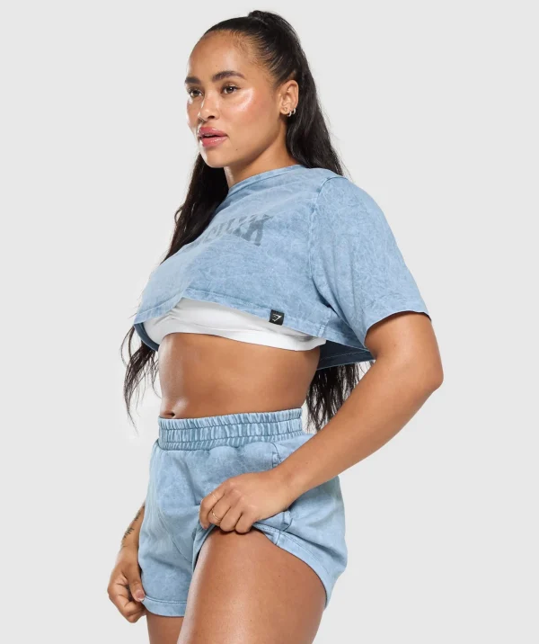 Collegiate Shadow Washed Crop Top