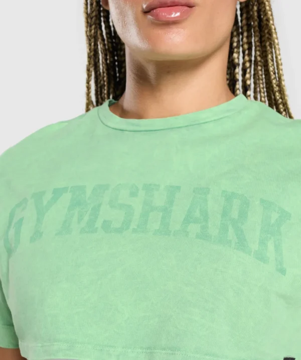 Collegiate Shadow Washed Crop Top