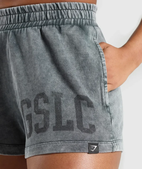 Collegiate Shadow Washed Shorts