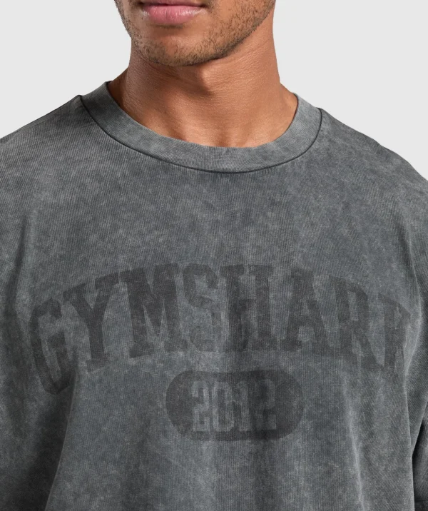 Collegiate Shadow Washed T-Shirt