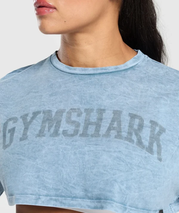 Collegiate Shadow Washed Crop Top