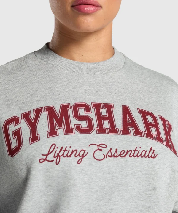 Lifting Essentials Graphic Brushed Oversized Sweatshirt