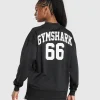 Mesh Long Sleeve Varsity Top