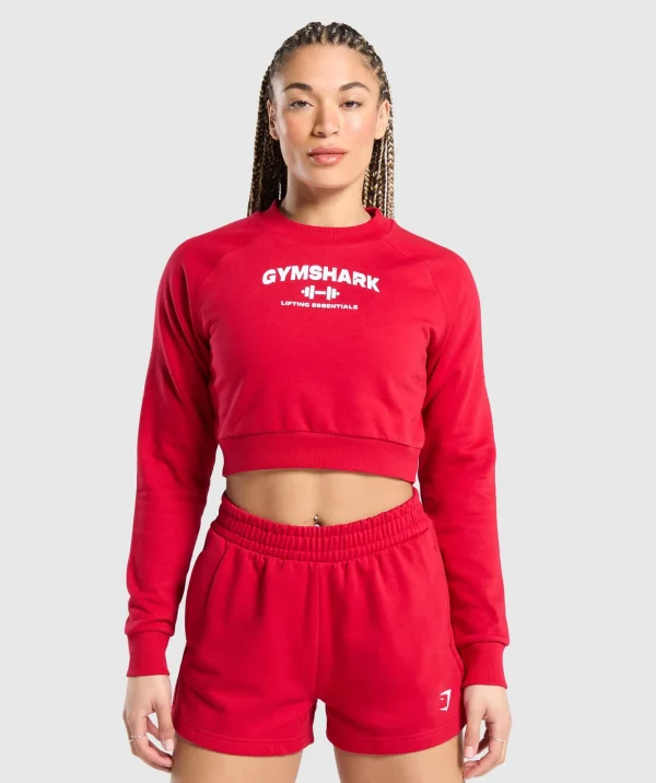 Team GS Cropped Sweatshirt