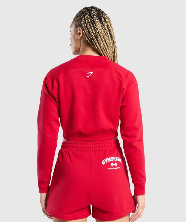 Team GS Cropped Sweatshirt