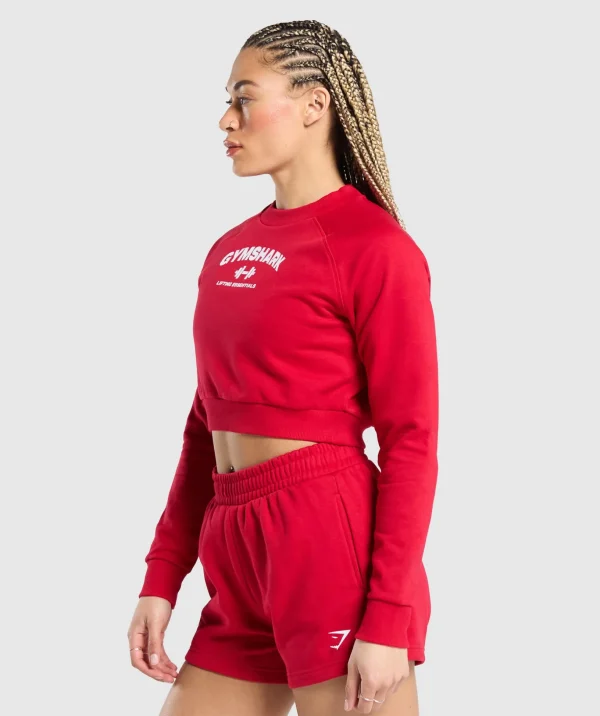 Team GS Cropped Sweatshirt