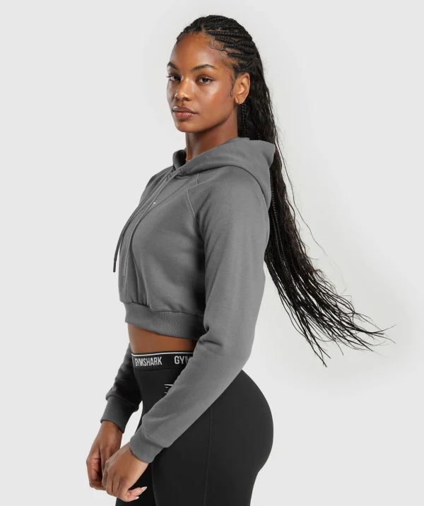 Training Fleece Cropped Hoodie