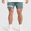 Workout Gear Mesh 5" Shorts